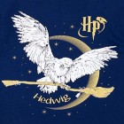 Harry Potter Mädchen Hedwig Schlafanzug Slim Fit
