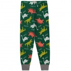 Harry Bear Jungen Dinosaurier Schlafanzug Slim Fit