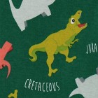 Harry Bear Jungen Dinosaurier Schlafanzug Slim Fit